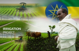Agriculture & Agro-Processing
