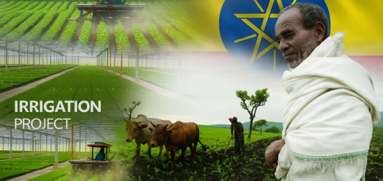 Agriculture & Agro-Processing