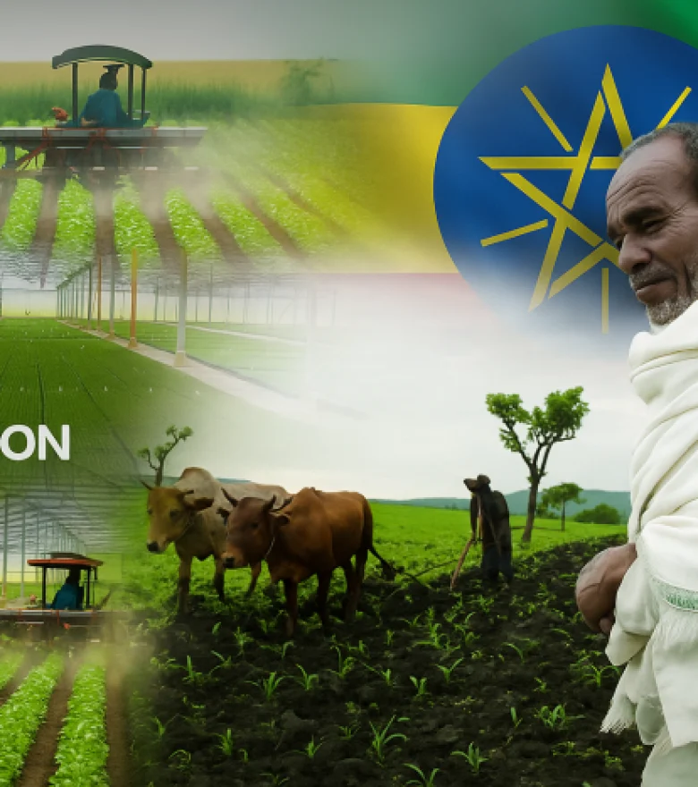 Agriculture & Agro-Processing