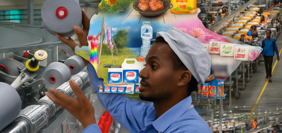 Manufacturing sector